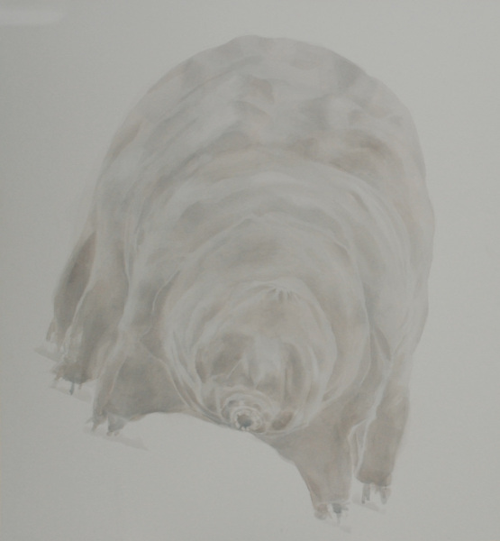 Bärtierchen, 2002, 132 x 134 cm